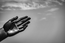 B_W 2012 Provenza_021.jpg
