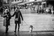 B_W 2016 Verona_018.jpg