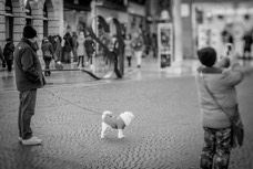 B_W 2016 Verona_020.jpg