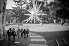 B_W 2016 Verona_023.jpg