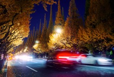 2024 Giappone-9491.jpg