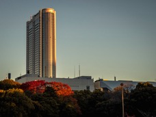 2024 Giappone-8495.jpg