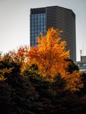 2024 Giappone-8390.jpg