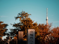 2024 Giappone-6292.jpg