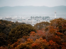 2024 Giappone-3328.jpg