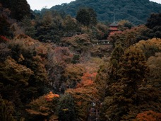 2024 Giappone-3313.jpg