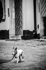 B_W 2007 Stoccolma_039.jpg