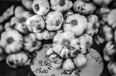 B_W 2014 Camargue_003.jpg